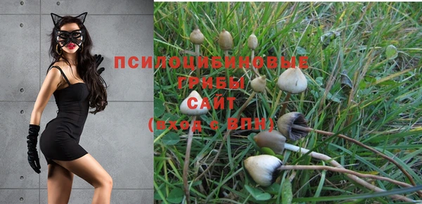 скорость Алзамай