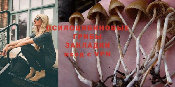 скорость Алзамай