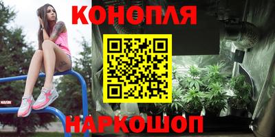 молекула духа Пугачёв