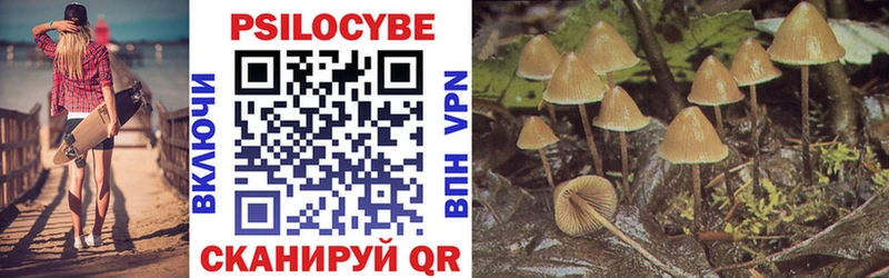Псилоцибиновые грибы Magic Shrooms  цены наркотик  Тейково 