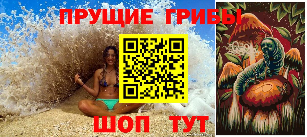 Галлюциногенные грибы Psilocybine cubensis Тейково